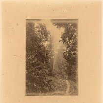 18.06.27 Oil Well Java